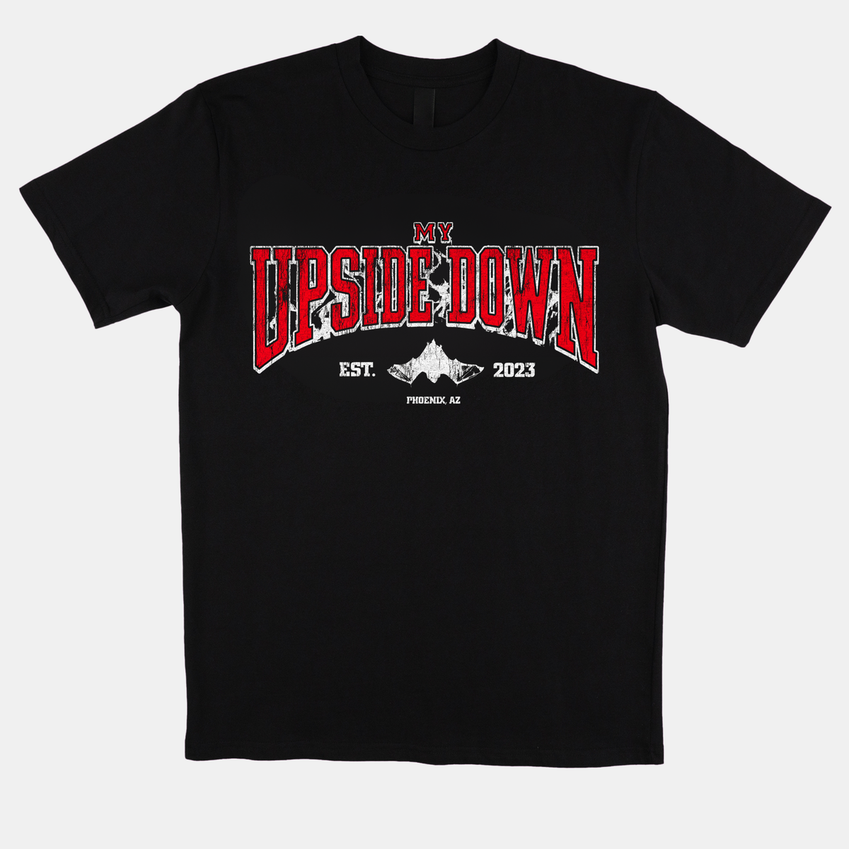 Established 2023 Tee